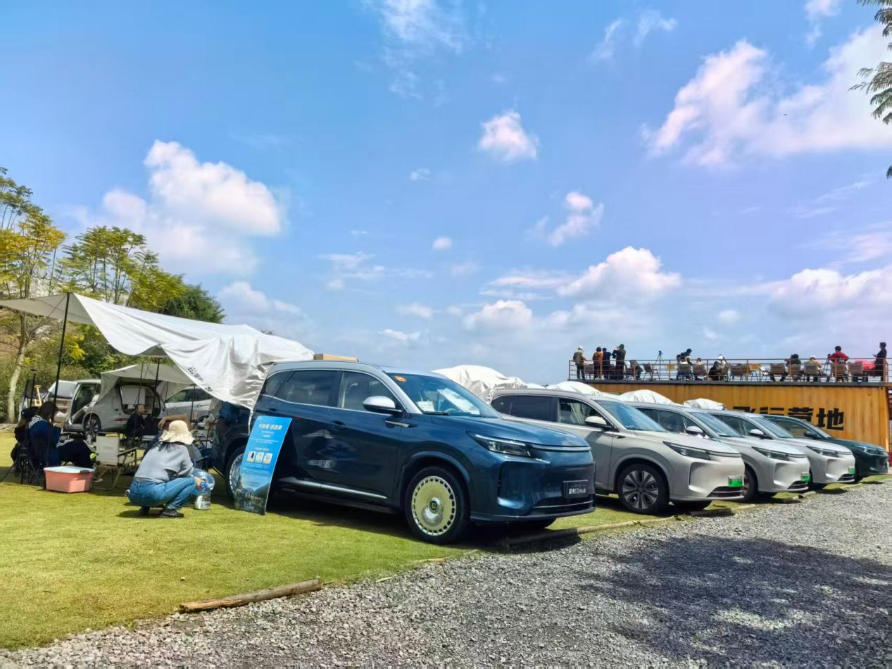 d4dd269c9c38cea72d39909c512359e8